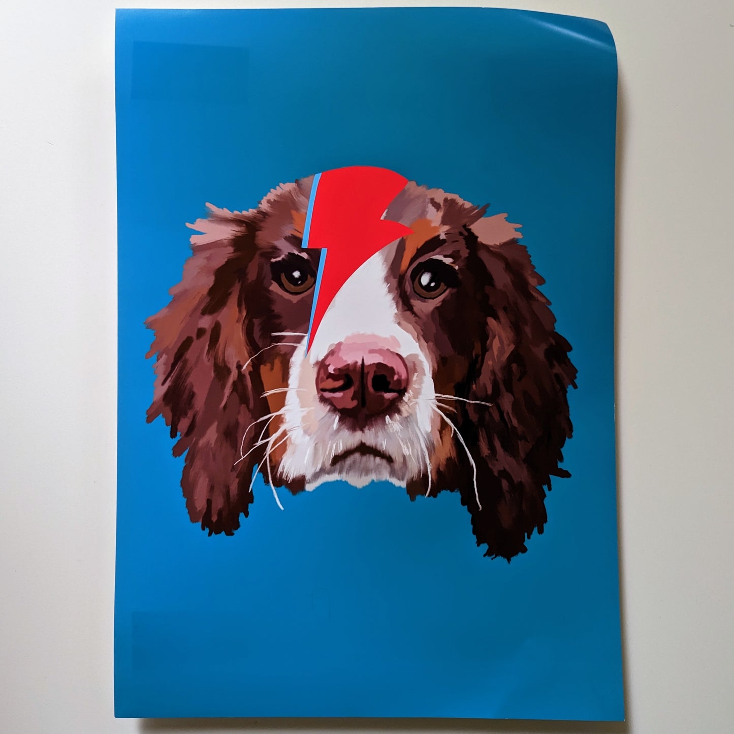 A3 'Ziggy Stardust Spaniel' Print - The 'Wonky' Sale