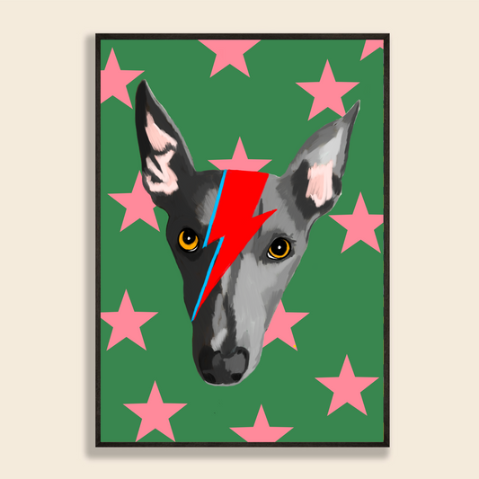 Whippet Ziggy Stardust Illustration Print