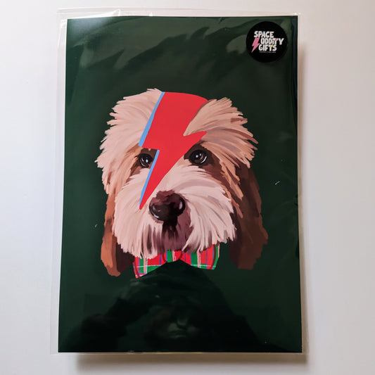A4 Ziggy Stardust Scruffy Dog Print - The 'Wonky' Sale