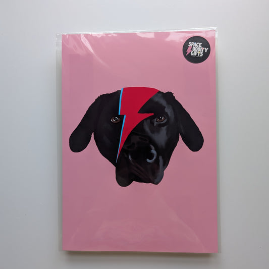 A4 'Ziggy Stardust Black Lab Dog' Print - The 'Wonky' Sale