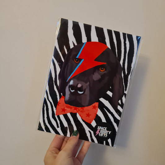 A5 Dog Ziggy Stardust Pawtrait